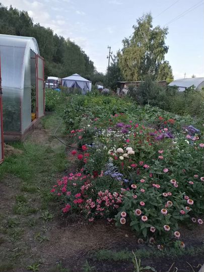 Участок 10 сот. (СНТ, ДНП)