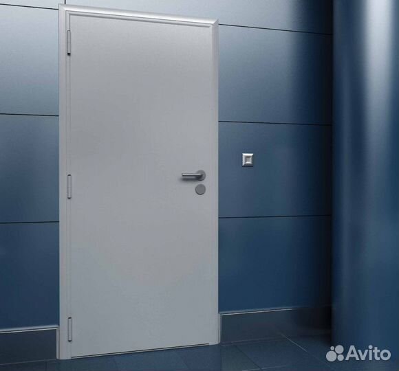 Дверь техническая металлическая