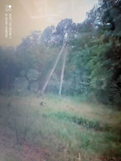 Участок 8 сот. (ИЖС)