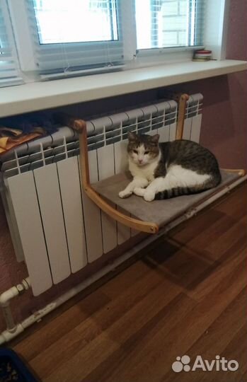 Гамак для кошек