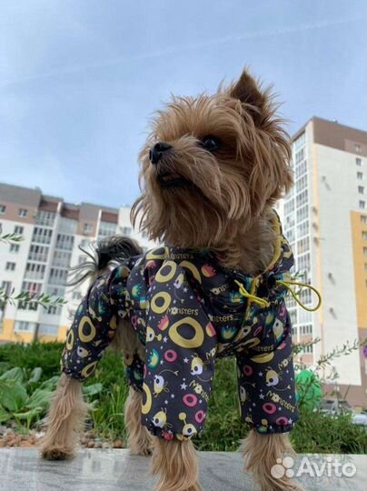 Пошив одежды для собак и кошек