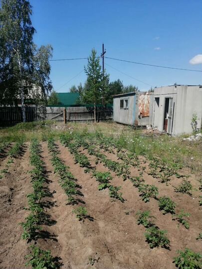 Участок 5,5 сот. (СНТ, ДНП)