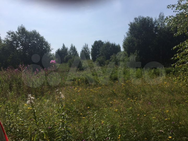 Участок 5,7 га (ИЖС)