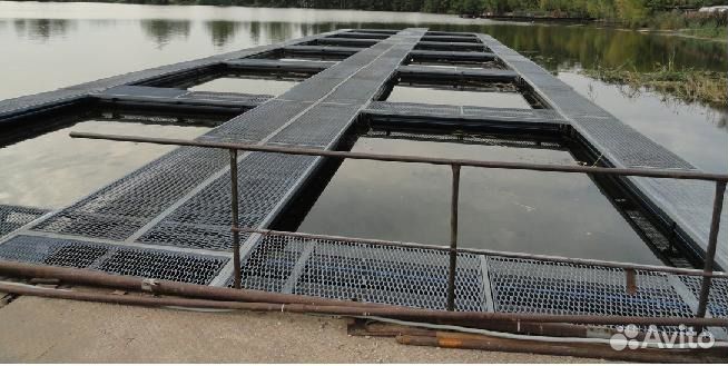 Разведение рыбы. Аквакультура