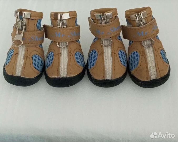 Сапожки для питомца