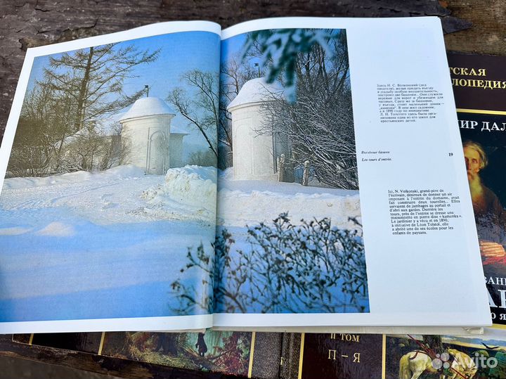 Книга Лев Толстой и ясная поляна