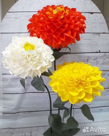 Роскошные георгины для декора