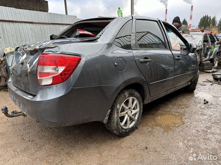 Лала гранта фаркоп