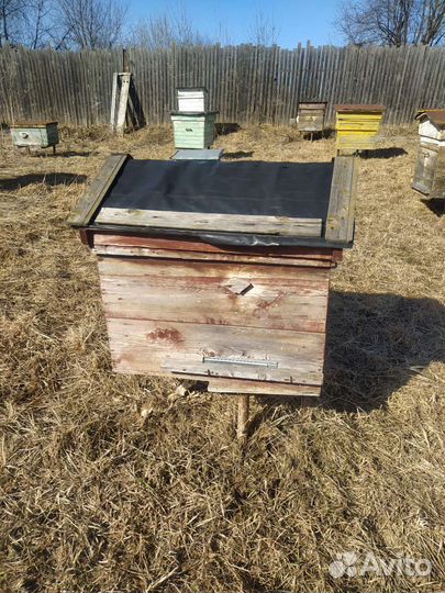 Ульи для пчел бу