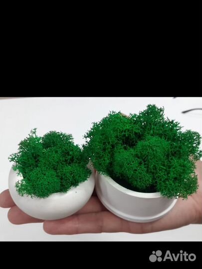 Изделия из гипса