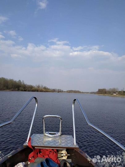 Южанка, Suzuki DF20 (инжектор)