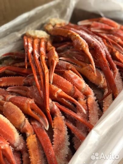 Клешни краба стригуна