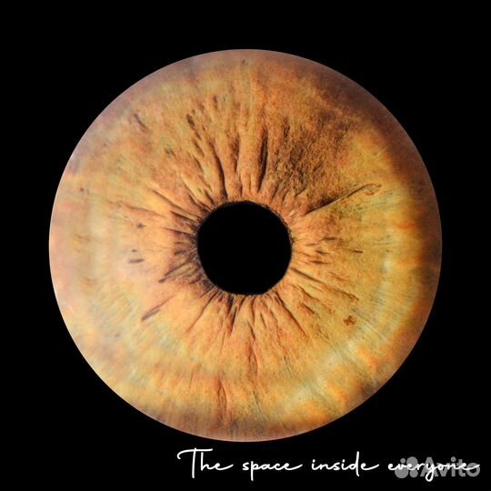 Фотография радужки глаза