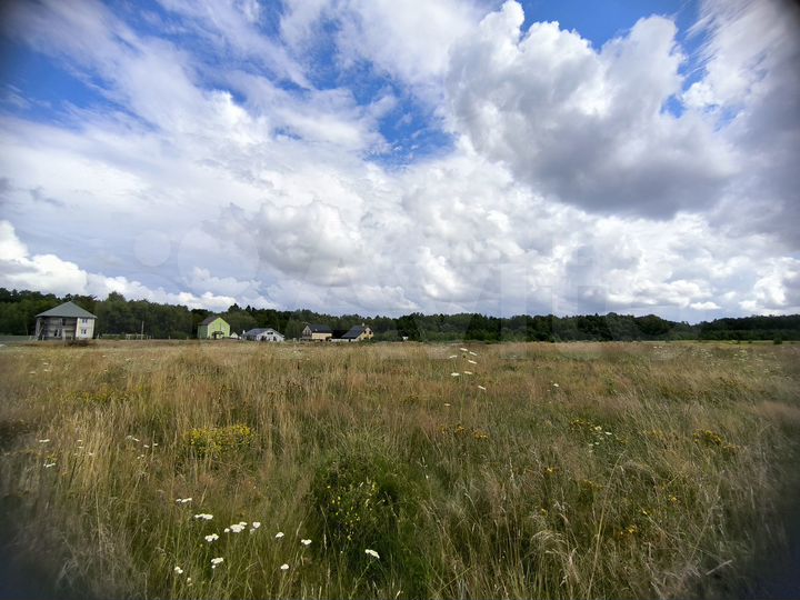 Участок 3,6 га (ИЖС)