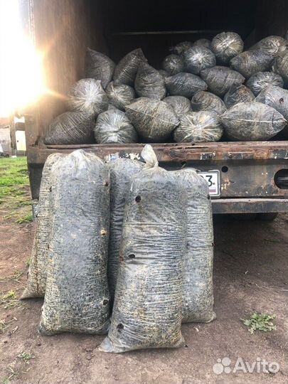 Грибные блоки вешенка