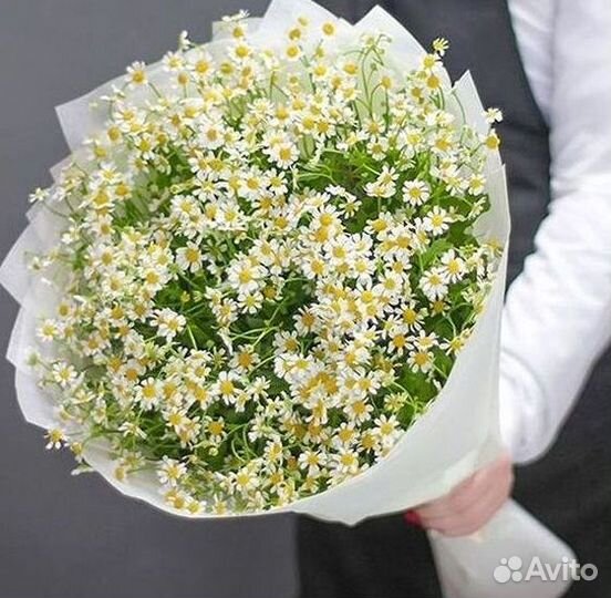 Цветы ромашки. Букеты ромашек. Цветы доставка