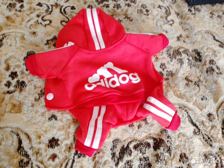 Спортивный костюм и пижама для маленькой собачки