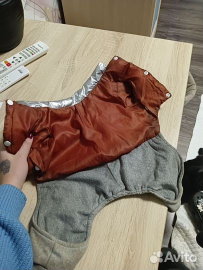 Зимний костюм для собак