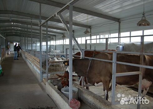 Строительство ферм