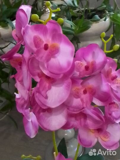 Орхидеи (искусственная)