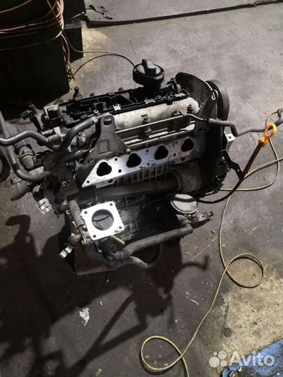 Двигатель VW Polo 2001-2009 1.4Л. 16V