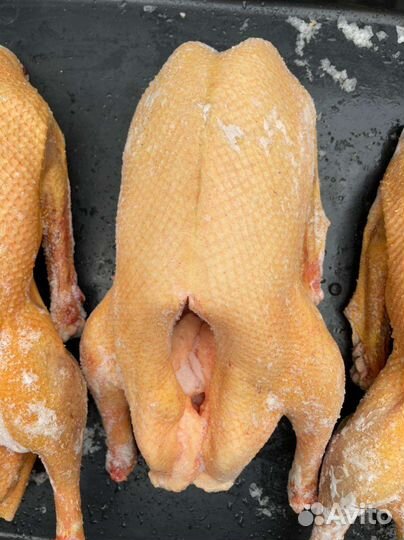 Мясо индоутки,гуся