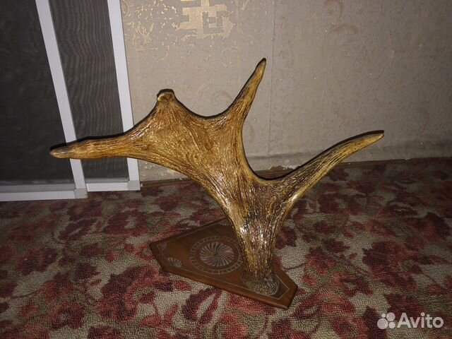 Рога лося