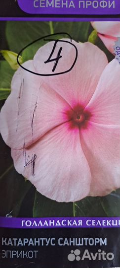 Катарантус семена