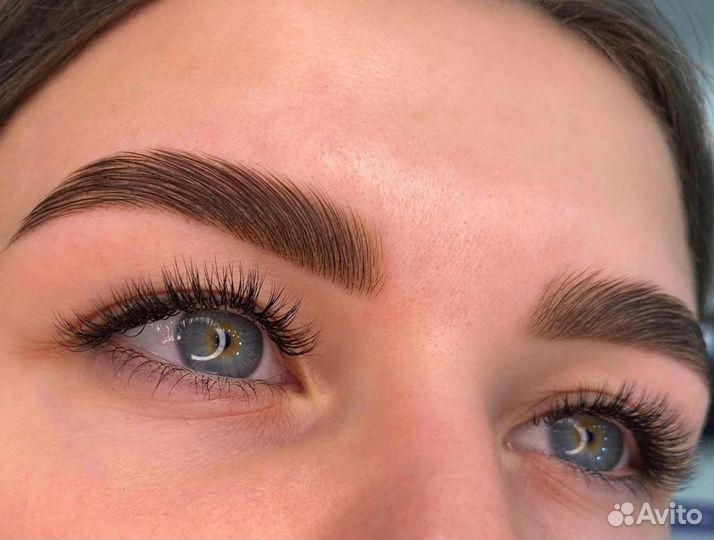 Брови/Натуральные брови/Бровист