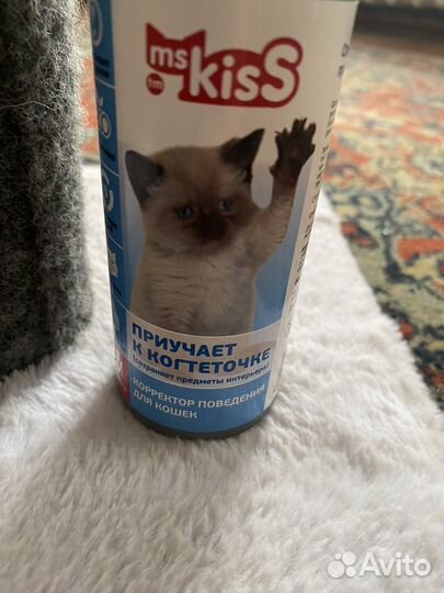 Когтеточка для кошек