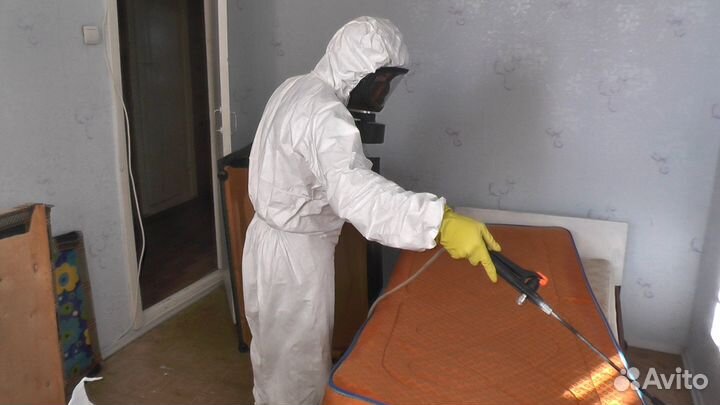 Уничтожение тараканов, клопов, клещей, блох 24/7