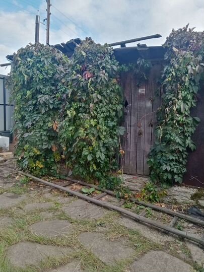 Дом 47 м² на участке 22 сот.