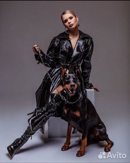 Доберман для фотосессий, съёмок