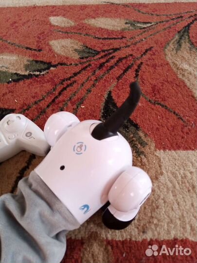 Собака робот