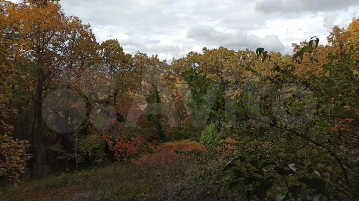 Дом 15 м² на участке 4 сот.