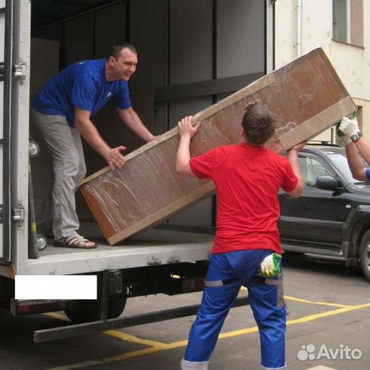 Грузоперевозки