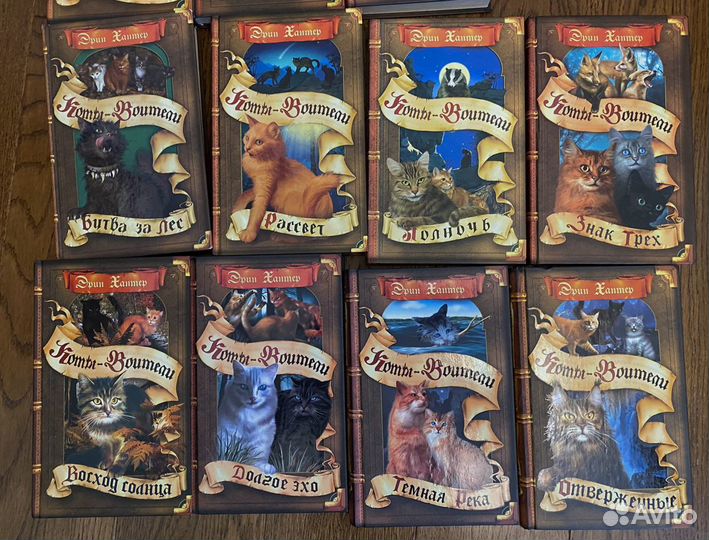 Коты-воители