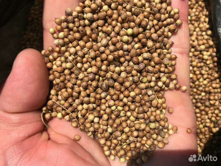 Семена, специи