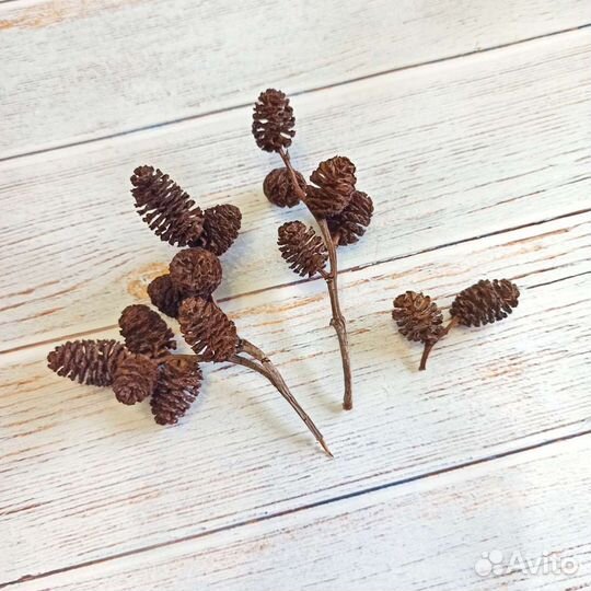 Шишки для рукоделия (ольха, упаковка)