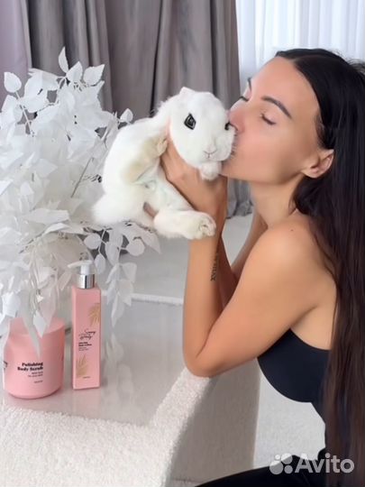 Кролики мини