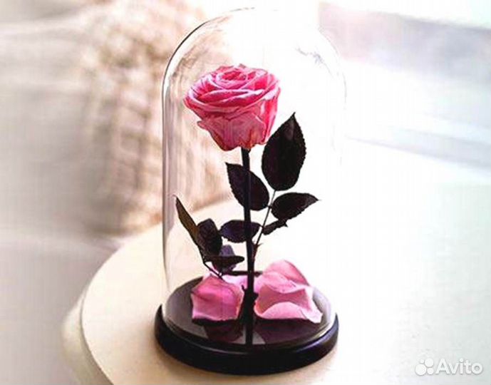 Роза в колбе