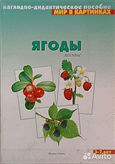 Наглядно-дидактическое пособие 