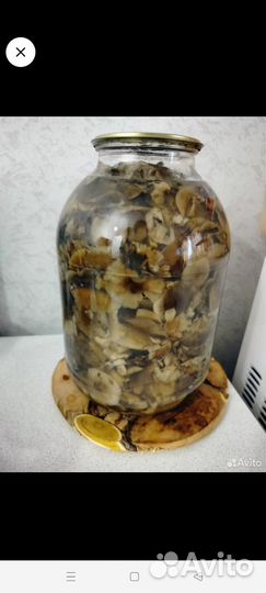 Грибы опята маринованные