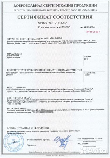 Чеснок на посадку
