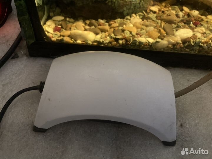 Аквариумы для рыб и оборудование