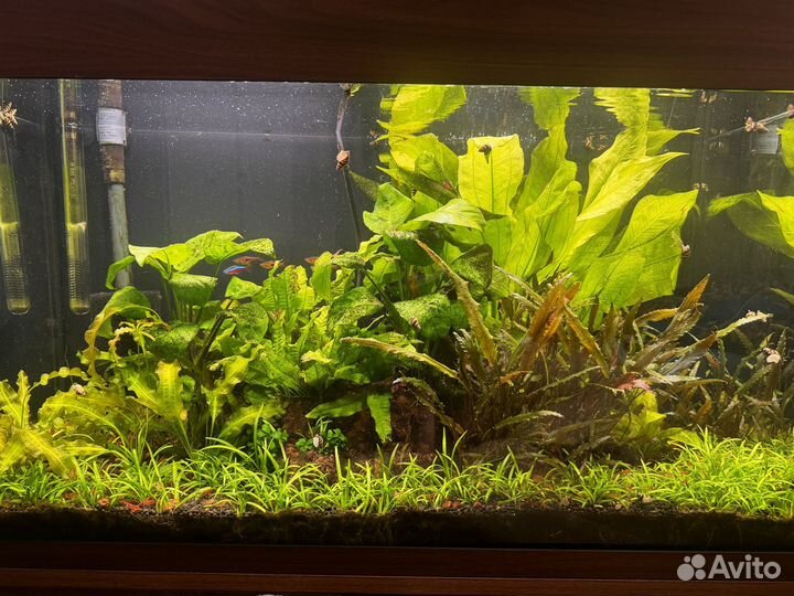 Аквариум с тумбой juwel 125 литров