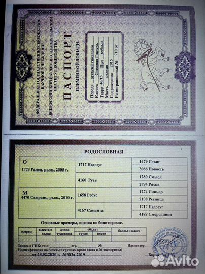 Русский тяжеловоз