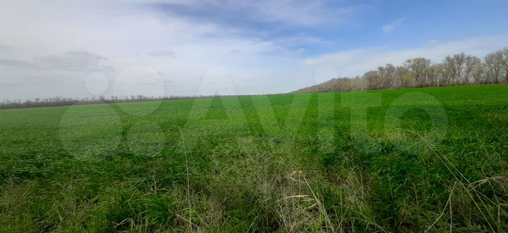 Участок 9,6 га (СНТ, ДНП)