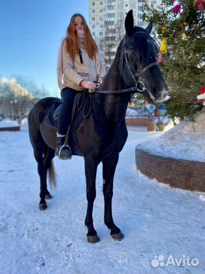 Прокат на лошадях