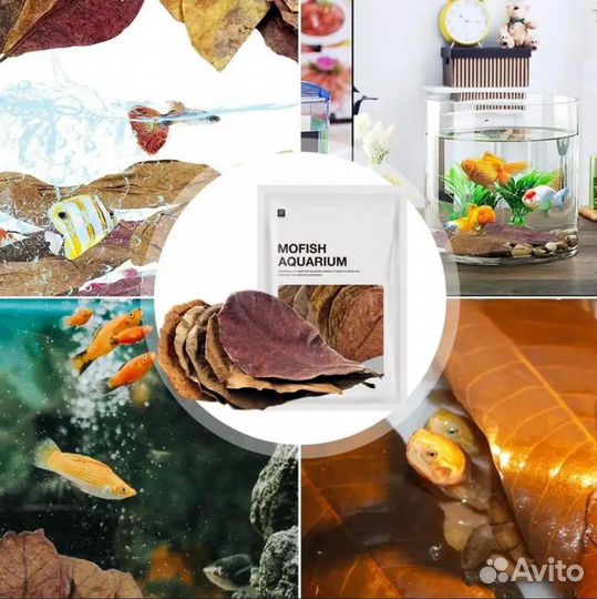 Листья миндаля для аквариума